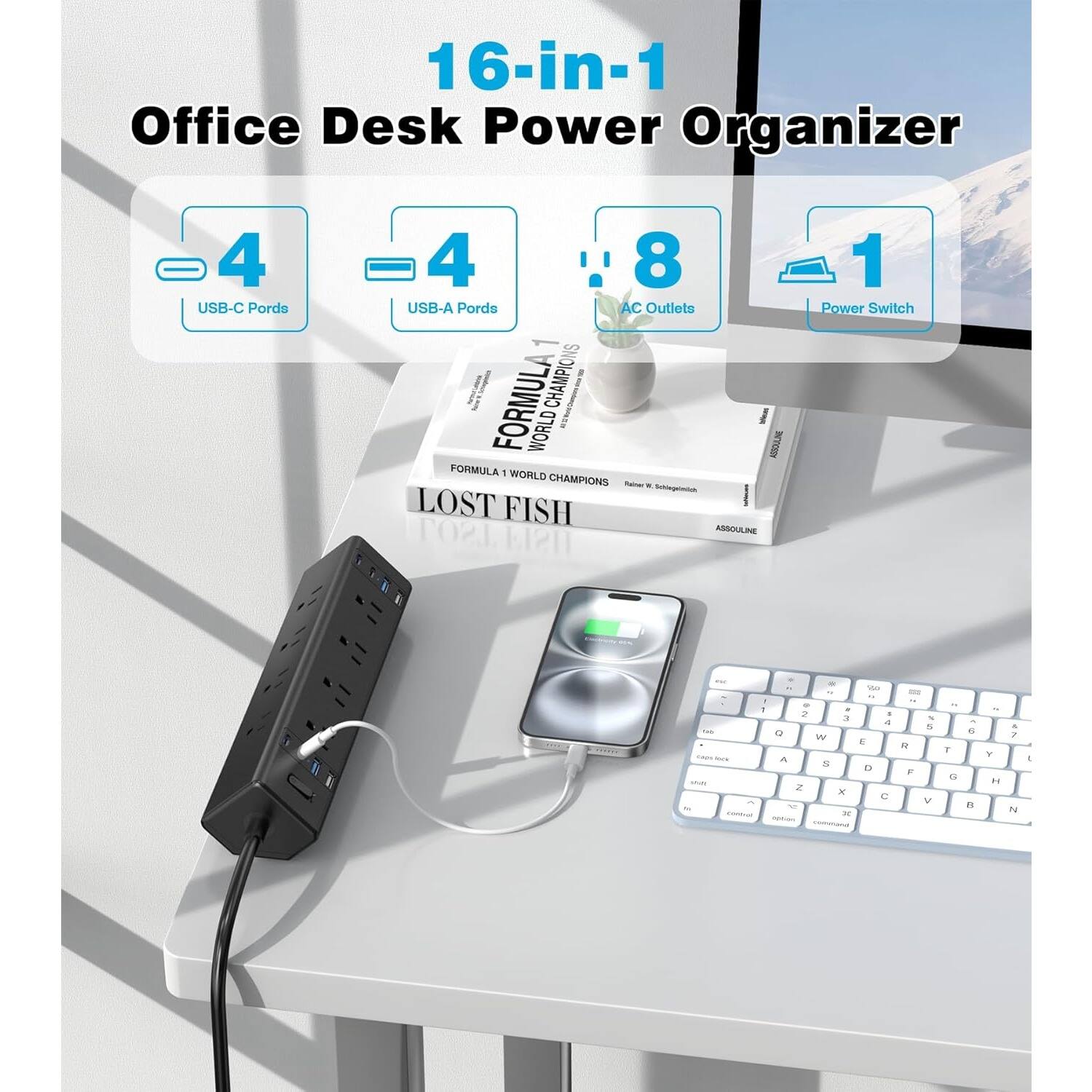 16-in-1 Office Desk Power Organizer

- 4 USB-C Ports
- 4 USB-A Ports
- 8 AC Outlets
- 1 Power Switch

FORMULA 1 WORLD CHAMPIONS
LOST FISH