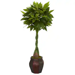 BreeBe - 5' Money Artificial Tree in Decorative Planter (Real Touch) - Green