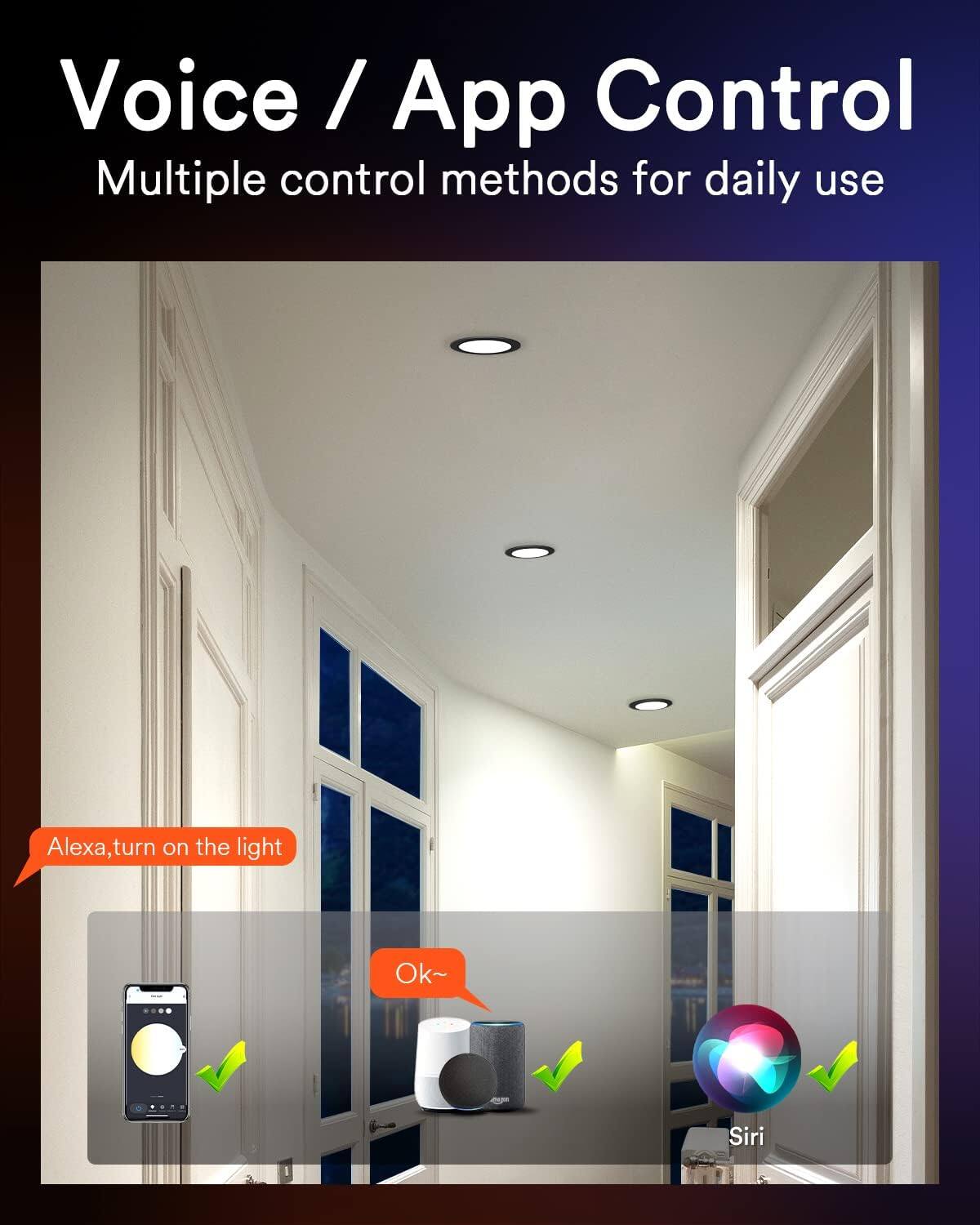 Voice / App Control  
Multiple control methods for daily use  

Alexa, turn on the light  
Ok~  

Siri