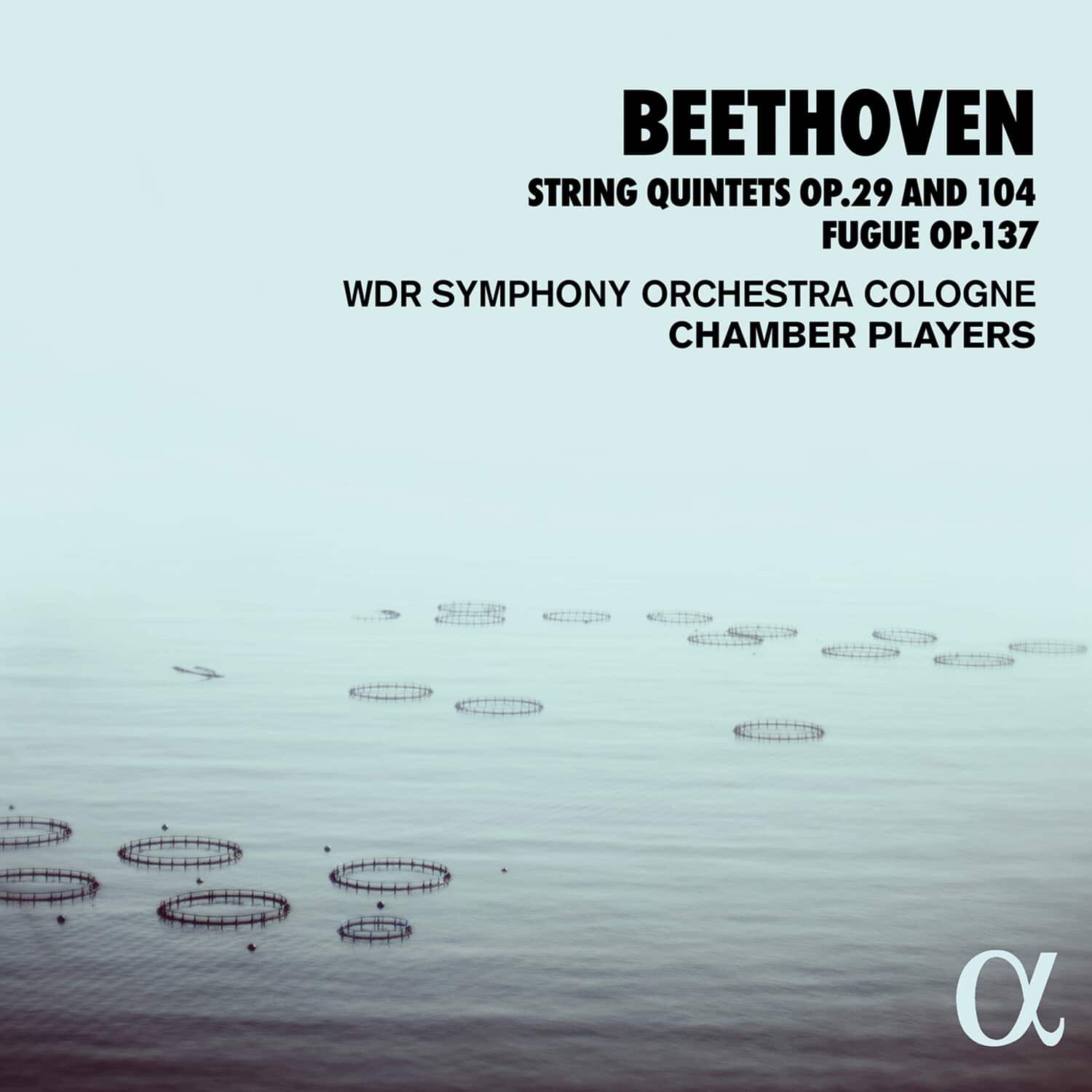 Beethoven - String Quintets 29 & 104   - COMPACT DISCS [CD] price history on PriceWatchPro