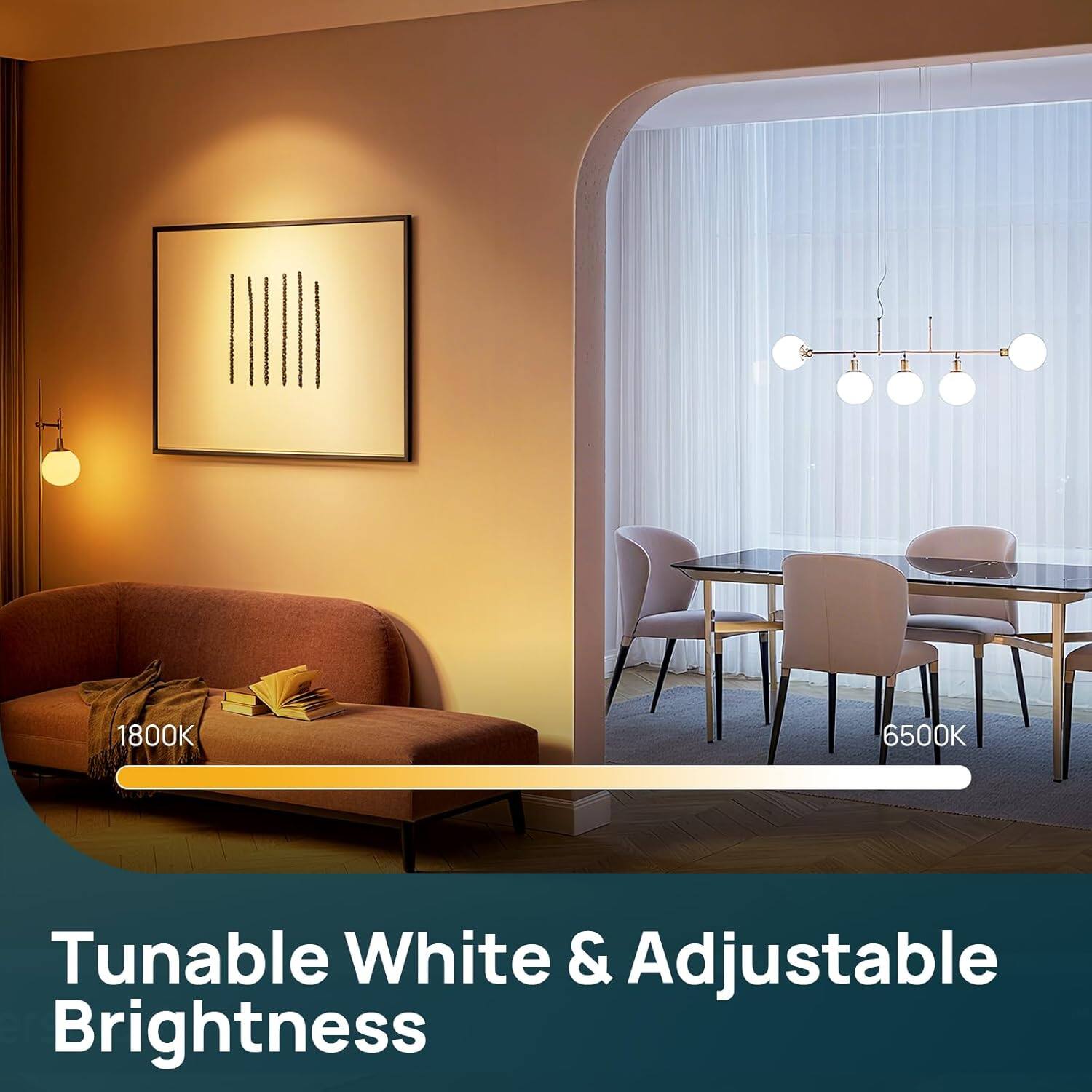Tunable White & Adjustable Brightness

1800K 6500K