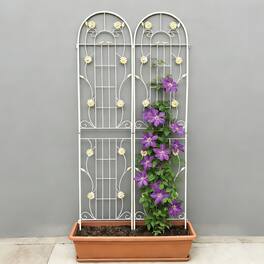 Loheer - 7.2 x 1.6 ft 2 Pack Rustproof Metal Garden Trellis for Climbing Plants - Cream White