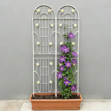 Front. Loheer - 7.2 x 1.6 ft 2 Pack Rustproof Metal Garden Trellis for Climbing Plants - Cream White.