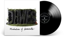 Dawes - Misadventures Of Doomscroller - VINYL LP