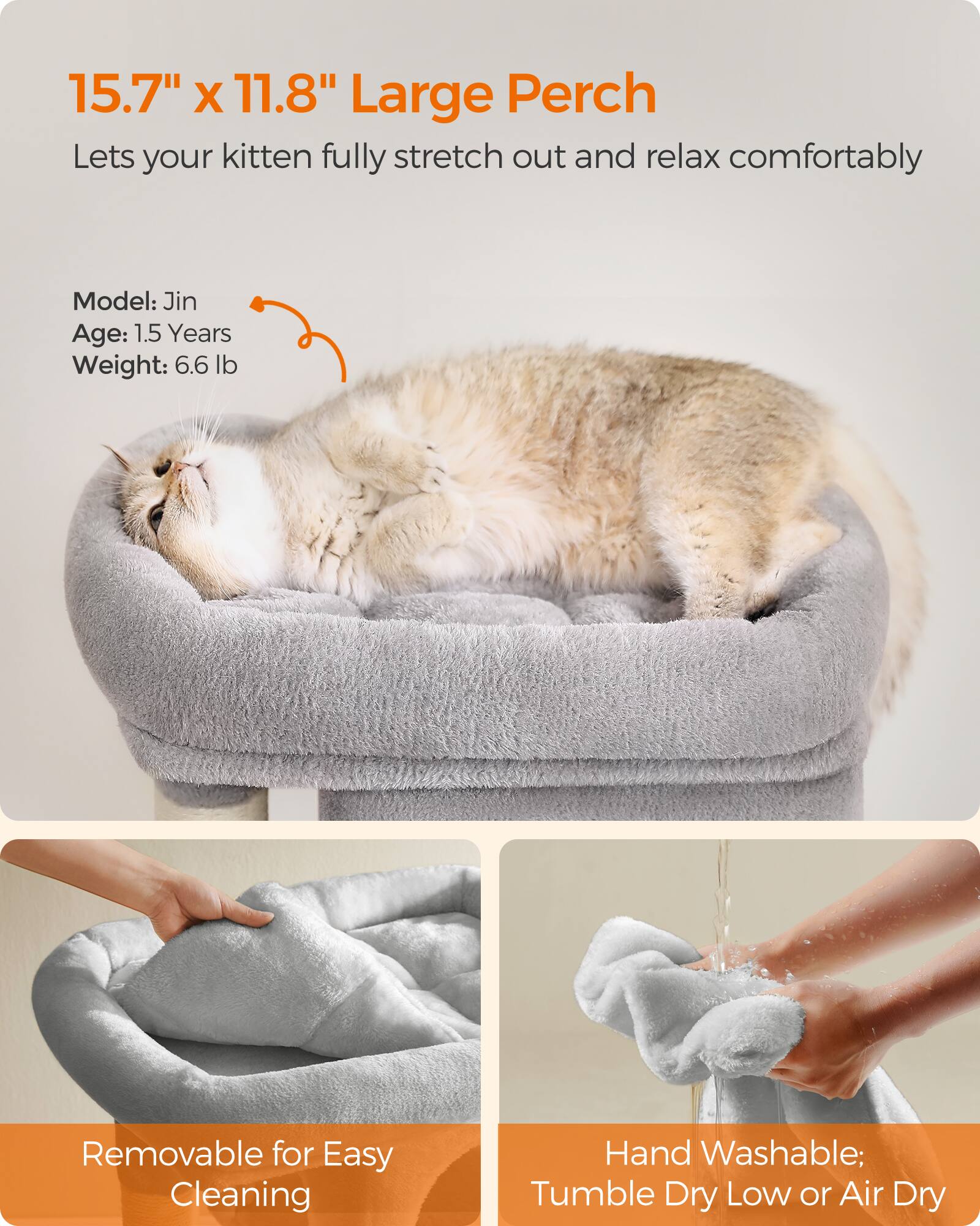 15.7" x 11.8" Large Perch  
Lets your kitten fully stretch out and relax comfortably

Model: Jin  
Age: 1.5 Years  
Weight: 6.6 lb

Removable for Easy Cleaning

Hand Washable; Tumble Dry Low or Air Dry