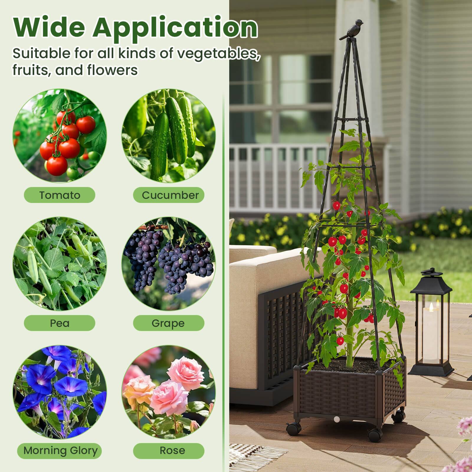 Wide Application  
Suitable for all kinds of vegetables, fruits, and flowers  

- Tomato  
- Cucumber  
- Pea  
- Grape  
- Morning Glory  
- Rose