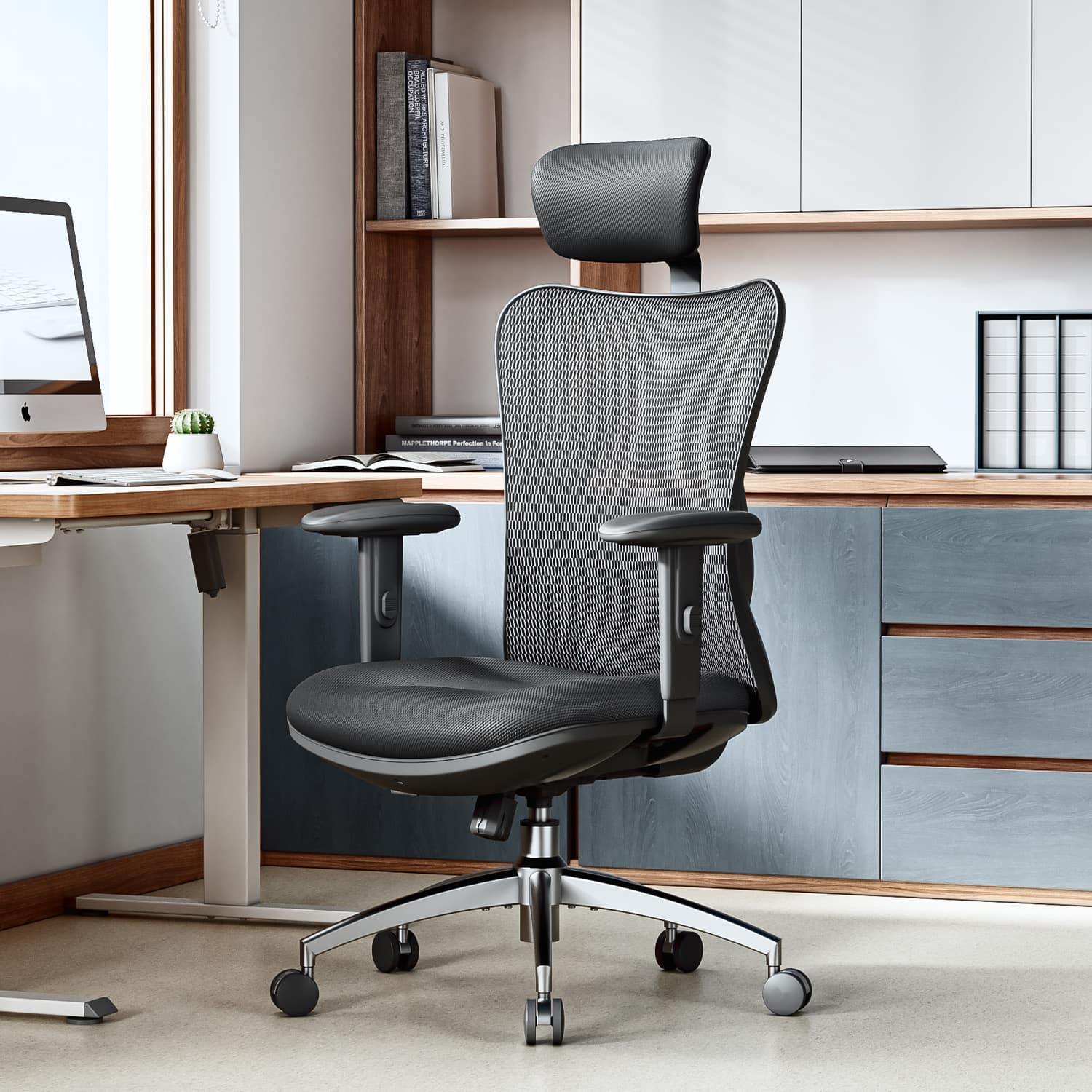 SIHOO M18 Ergonomic Office Chair, Computer Desk Chair with
