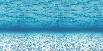 Alt View 1. Pacon - Fadeless Paper Roll, 48" x 50' - Under The Sea.