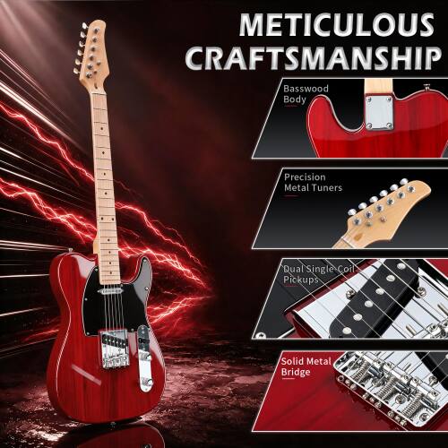 METICULOUS CRAFTSMANSHIP  
Basswood Body  
Precision Metal Tuners  
Dual Single Coil Pickups  
Solid Metal Bridge