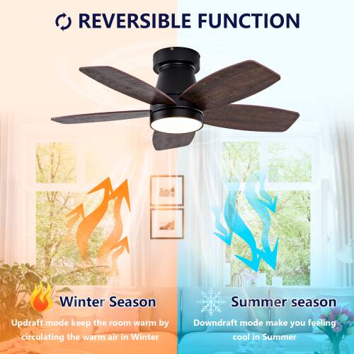 REVERSIBLE FUNCTION

Winter Season
Updraft mode keeps the room warm by circulating the warm air in Winter

Summer season
Downdraft mode makes you feel cool in Summer