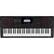 CASIO C01 StagePro