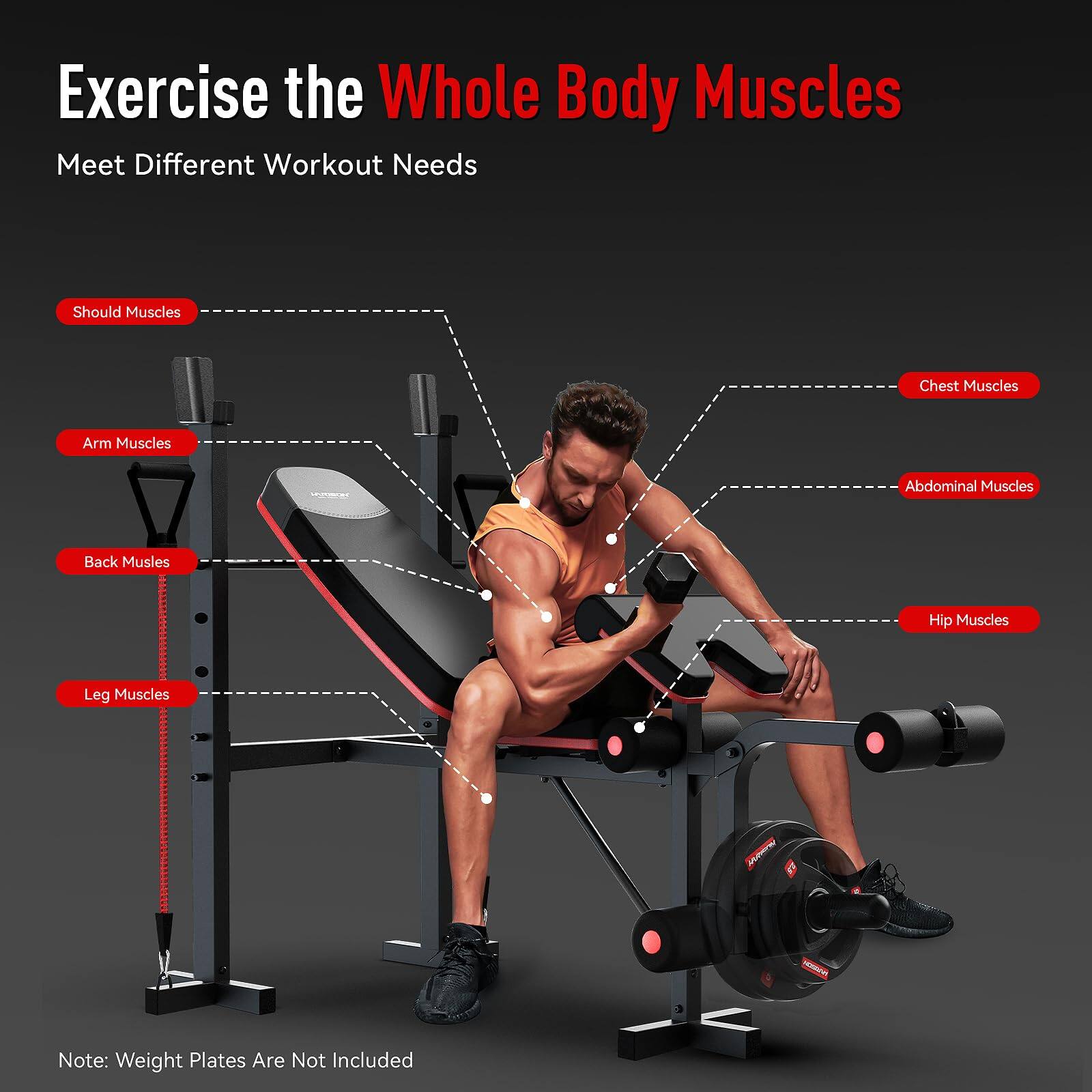 Exercise the Whole Body Muscles  
Meet Different Workout Needs  

- Should Muscles  
- Arm Muscles  
- Back Muscles  
- Leg Muscles  
- Chest Muscles  
- Abdominal Muscles  
- Hip Muscles  

Note: Weight Plates Are Not Included