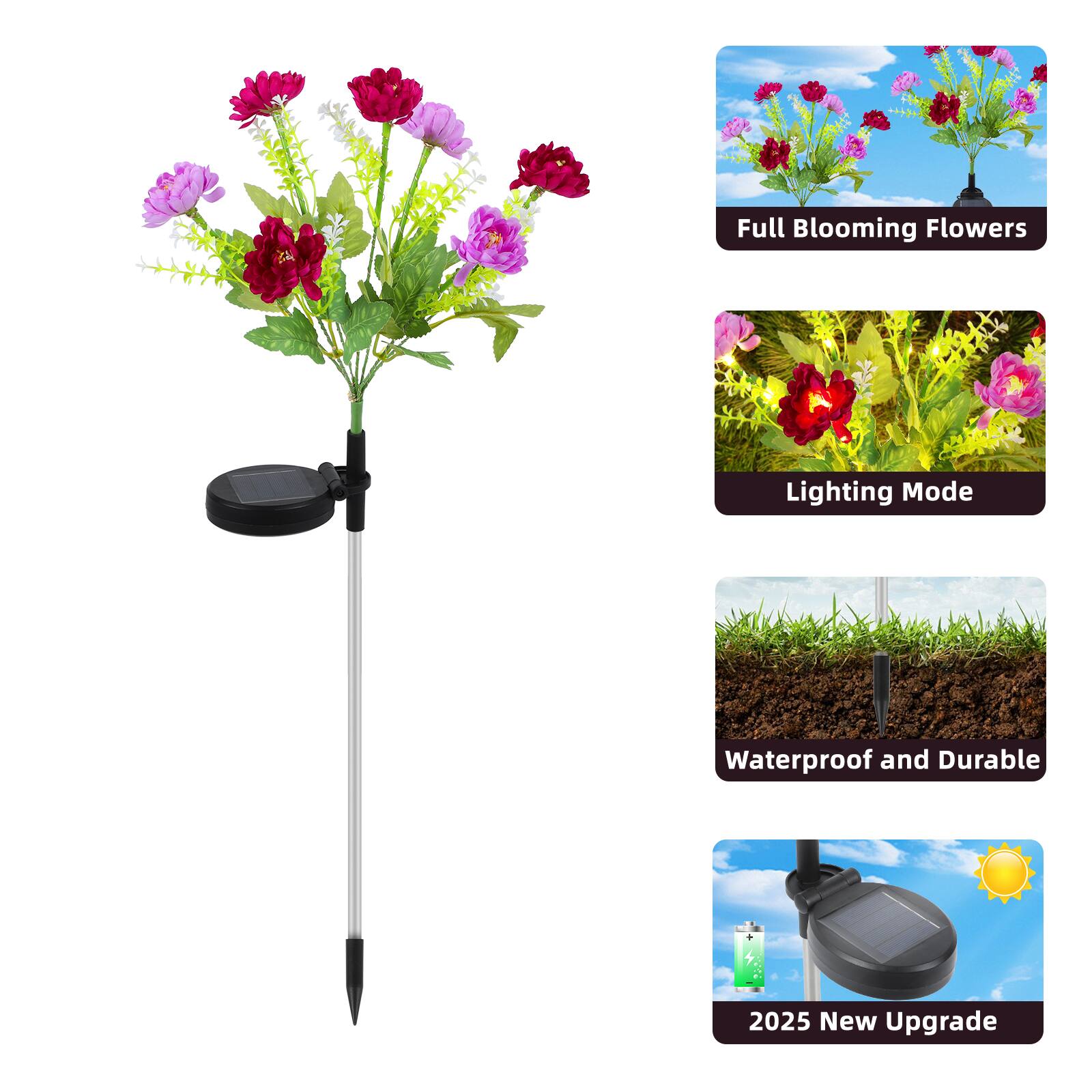 Full Blooming Flowers  
Lighting Mode  
Waterproof and Durable  
2025 New Upgrade