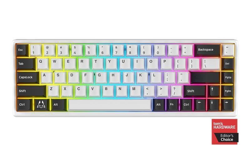 Esc ! 1 2 @ 3 # 4 $ 5 % 6 ^ 7 & 8 * 9 ( 0 ) - Backspace Tab Q W E R T Y U I O P { [ } ] | Del CapsLock A S D F G H J K L : : PgUp Shift Z X C V B N M < > ? Shift PgDn Ctrl Alt Fn Ctrl tom's HARDWARE Editor's Choice