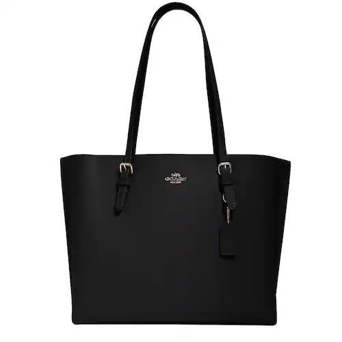 Tote & Messenger Bags
