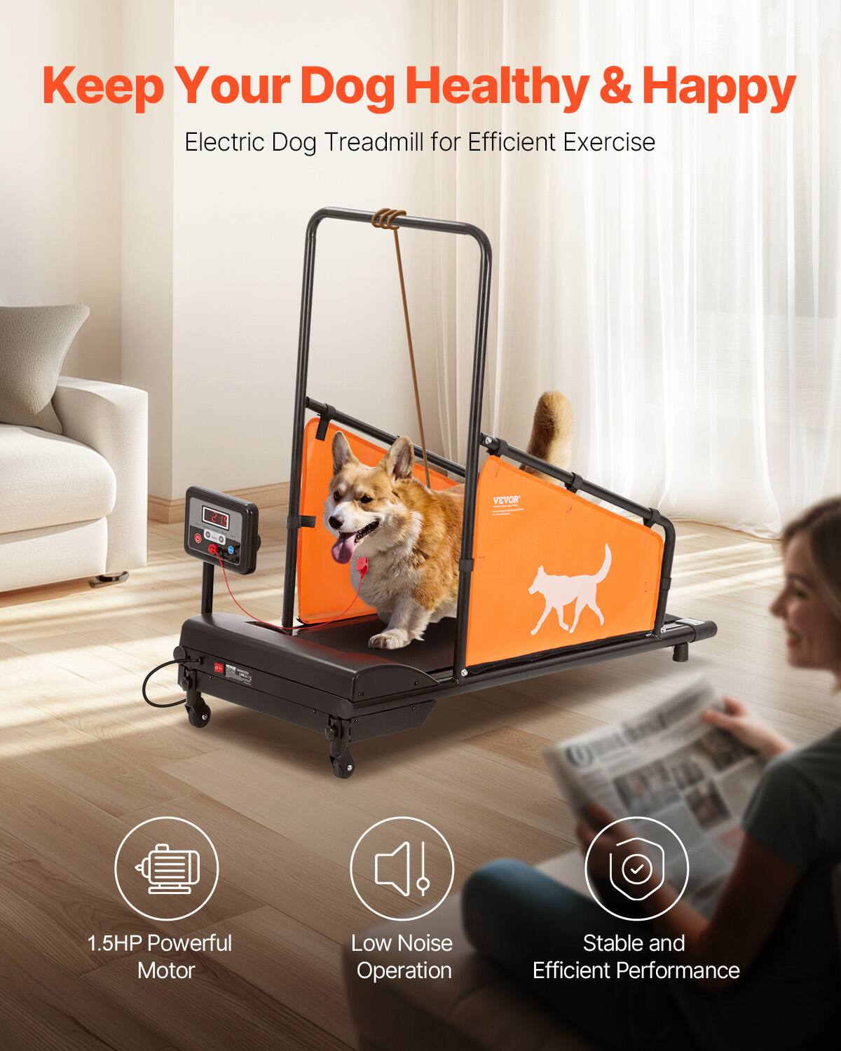 Keep Your Dog Healthy & Happy
Electric Dog Treadmill for Efficient Exercise
VEVOR
1.5HP Powerful Motor
Low Noise Operation
Stable and Efficient Performance