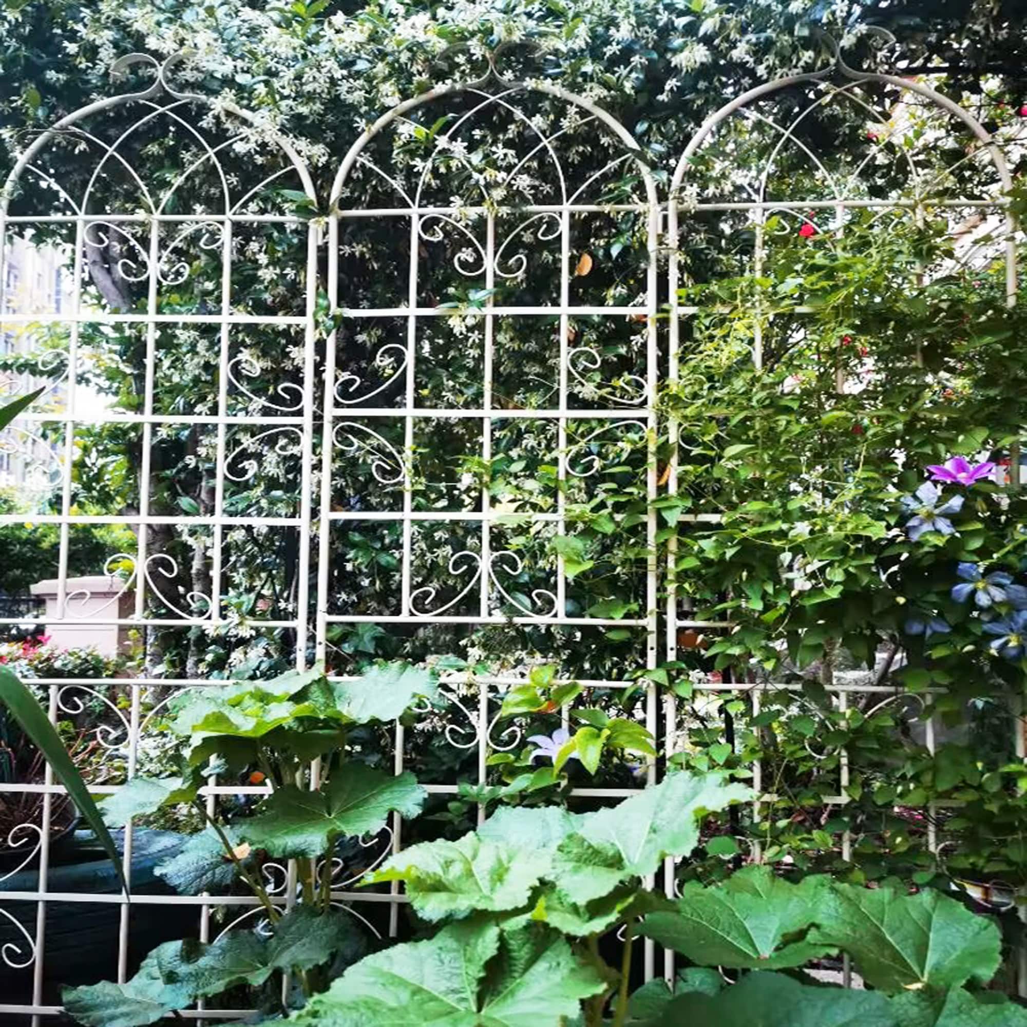 Loheer - 2 Pack Rustproof Metal Garden Trellis, 7.23 x 1.64 ft Climbing Plant Support - Cream White price history on PriceWatchPro