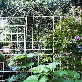 Loheer - 2 Pack Rustproof Metal Garden Trellis, 7.23 x 1.64 ft Climbing Plant Support - Cream White
