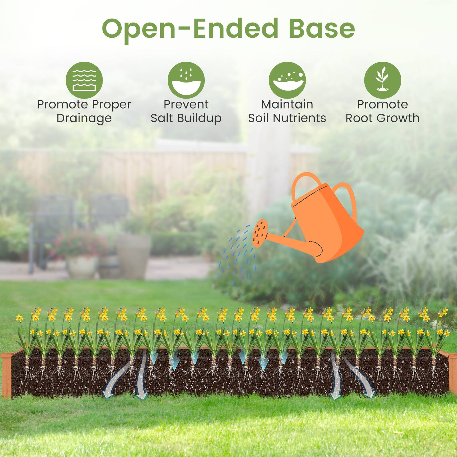 Open-Ended Base

- Promote Proper Drainage
- Prevent Salt Buildup
- Maintain Soil Nutrients
- Promote Root Growth