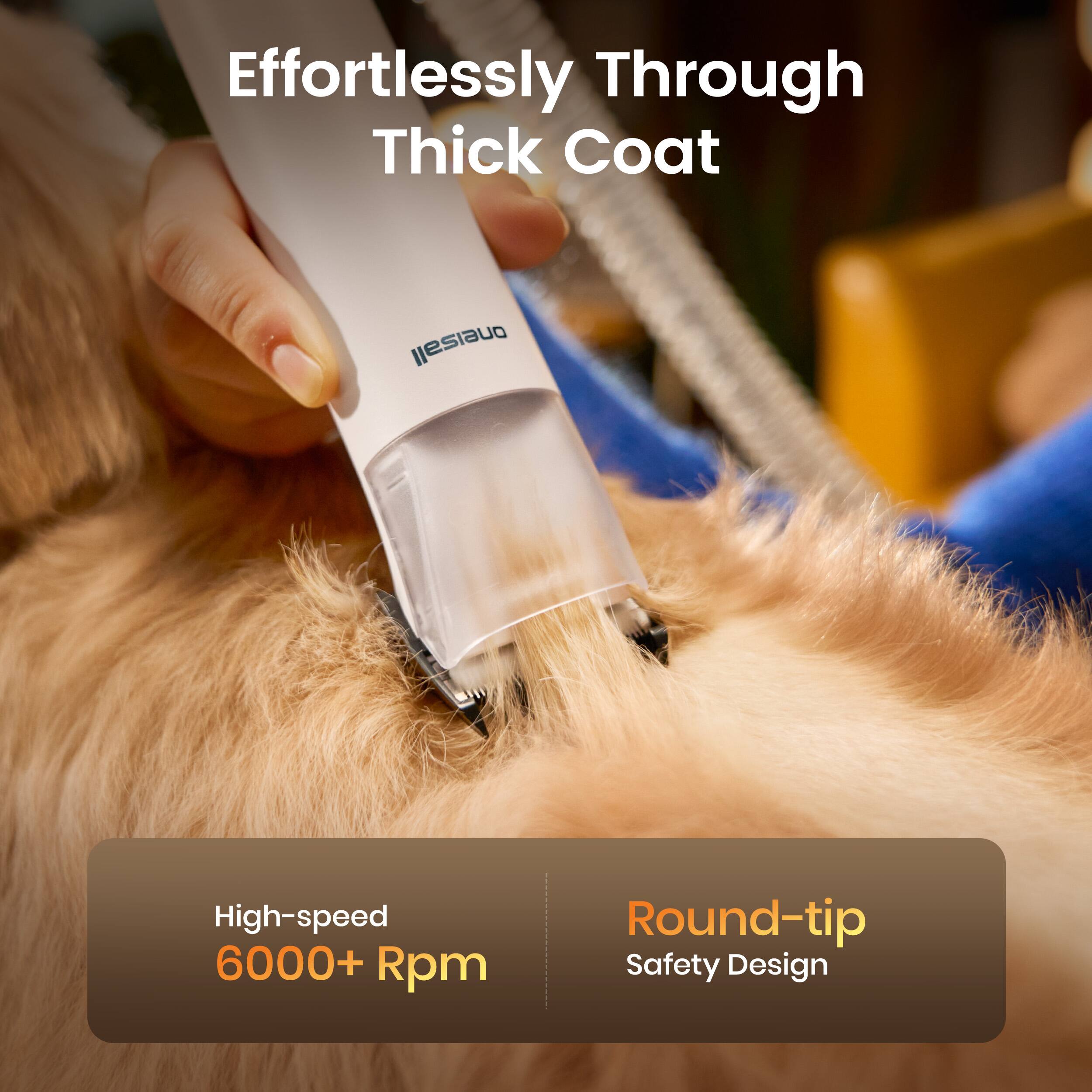 Effortlessly Through Thick Coat

High-speed 6000+ Rpm

Round-tip Safety Design