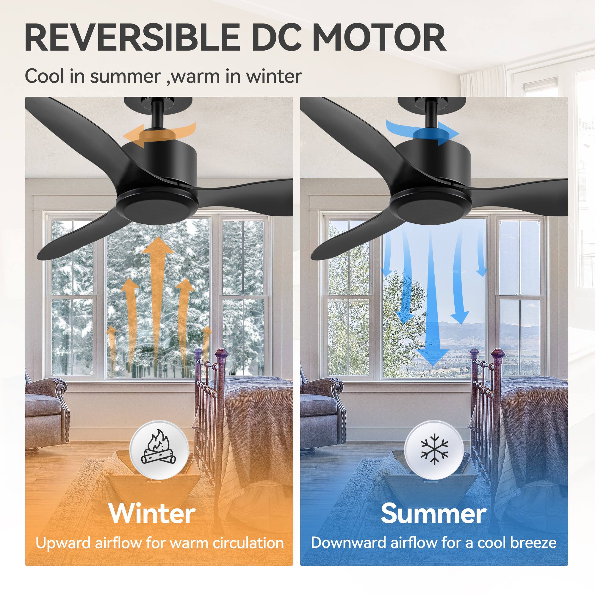 REVERSIBLE DC MOTOR  
Cool in summer, warm in winter  

Winter  
Upward airflow for warm circulation  

Summer  
Downward airflow for a cool breeze