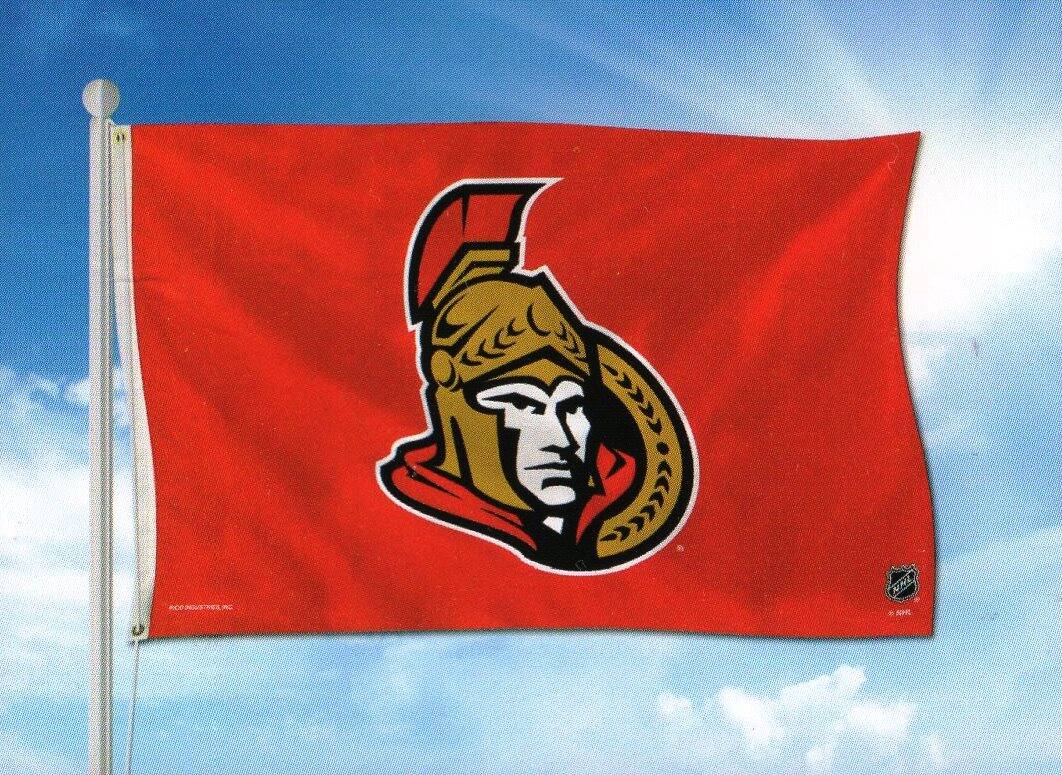 Rico Industries - Ottawa Hockey Senators Indoor / Outdoor 3x5 Banner Flag - Multi