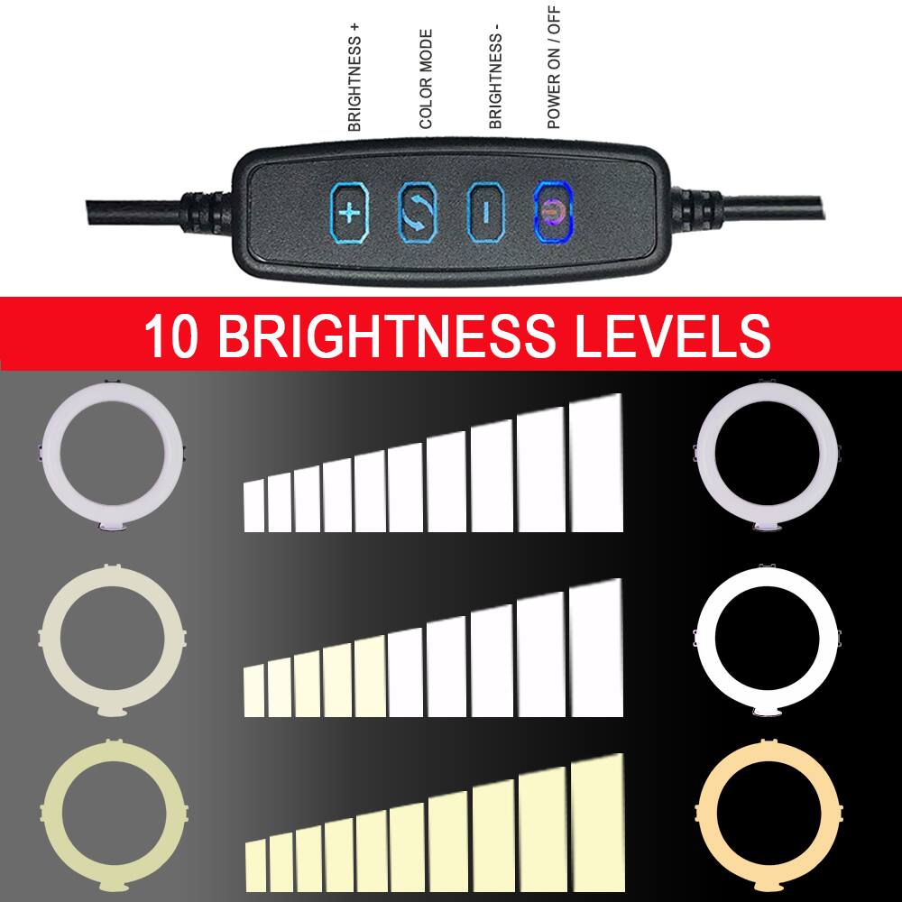 Sure, here is the corrected and grouped text from the image:

---

**10 BRIGHTNESS LEVELS**

- BRIGHTNESS+
- BRIGHTNESS-
- COLOR OR MODE
- POWER ON/OFF

---

This text is organized to reflect the labels and features shown on the remote control in the image.
