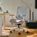 Branch Furniture - Ergonomic Chair Pro – Premium Office Seating with 7 Points of Adjustment & Dynamic Lumbar Support - White / Mineral