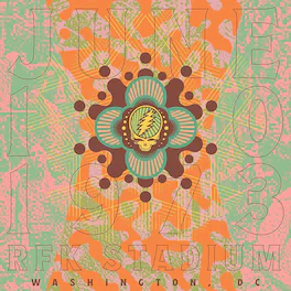 Grateful Dead - RFK Stadium, Washington, DC 6/10/73 (Live) - VINYL LP