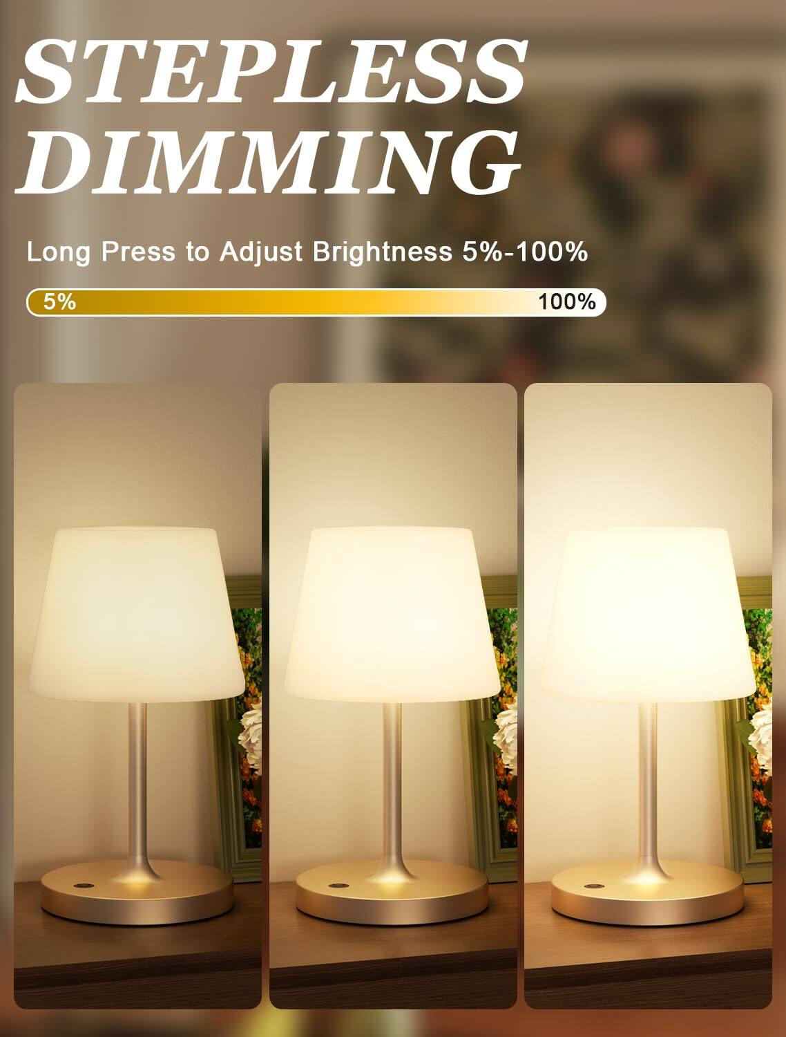 Stepless Dimming  
Long Press to Adjust Brightness 5%-100%  
5% 100%