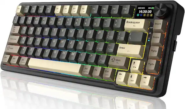 Esc F1 F2 F3 F4 F5 F6 F7 F8 F9 F10 F11 F12
Tab Q W E R T Y U I O P { } |
Caps Lock A S D F G H J K L : "
Shift Z X C V B N M , . -
Ctrl Win Alt Fn
Backspace Insert Home End Delete
PgUp PgDn
Enter
Ctrl option command