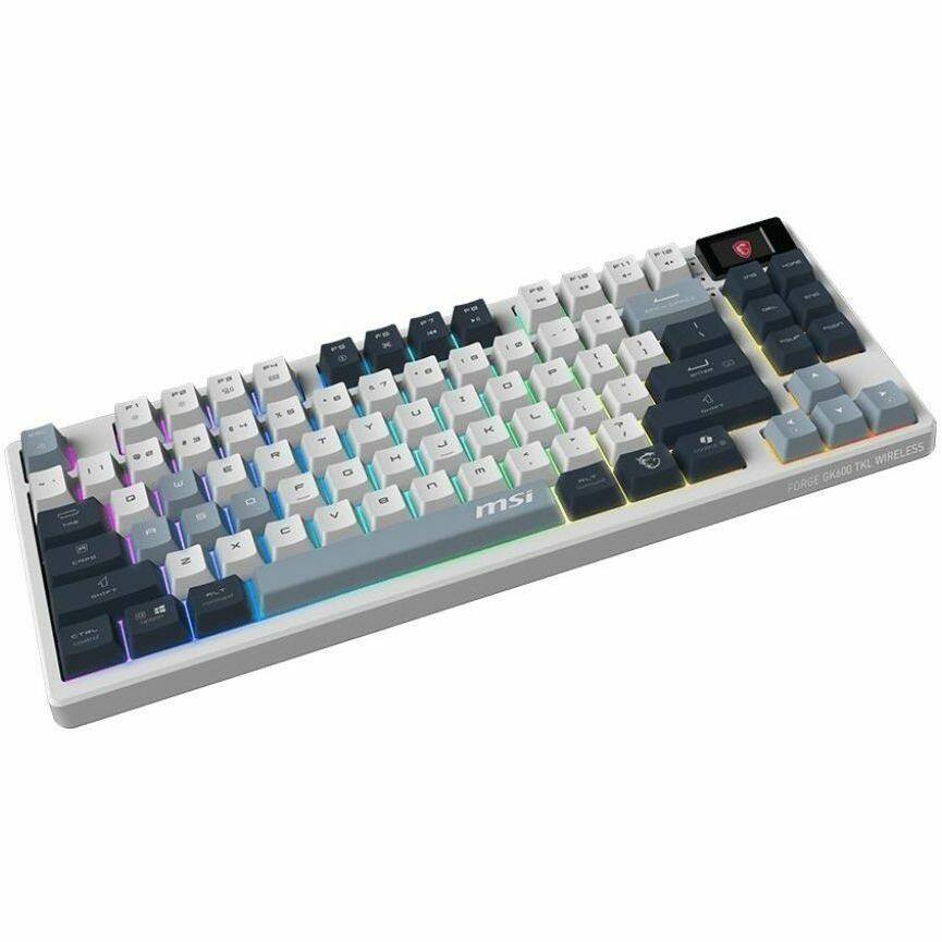 c - E 1 N - O - F 1 C D - T D > Y Y - 1 an 5 - a - C E u L + 3 - i n msi 1 % . 1 . I ESS TKL WIRELESS GKA00 FORGE