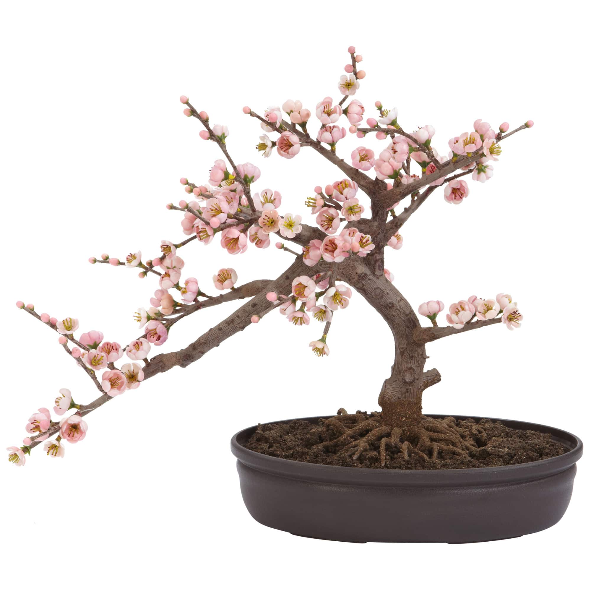 BreeBe - 15" Cherry Blossom Bonsai Tree - Pink