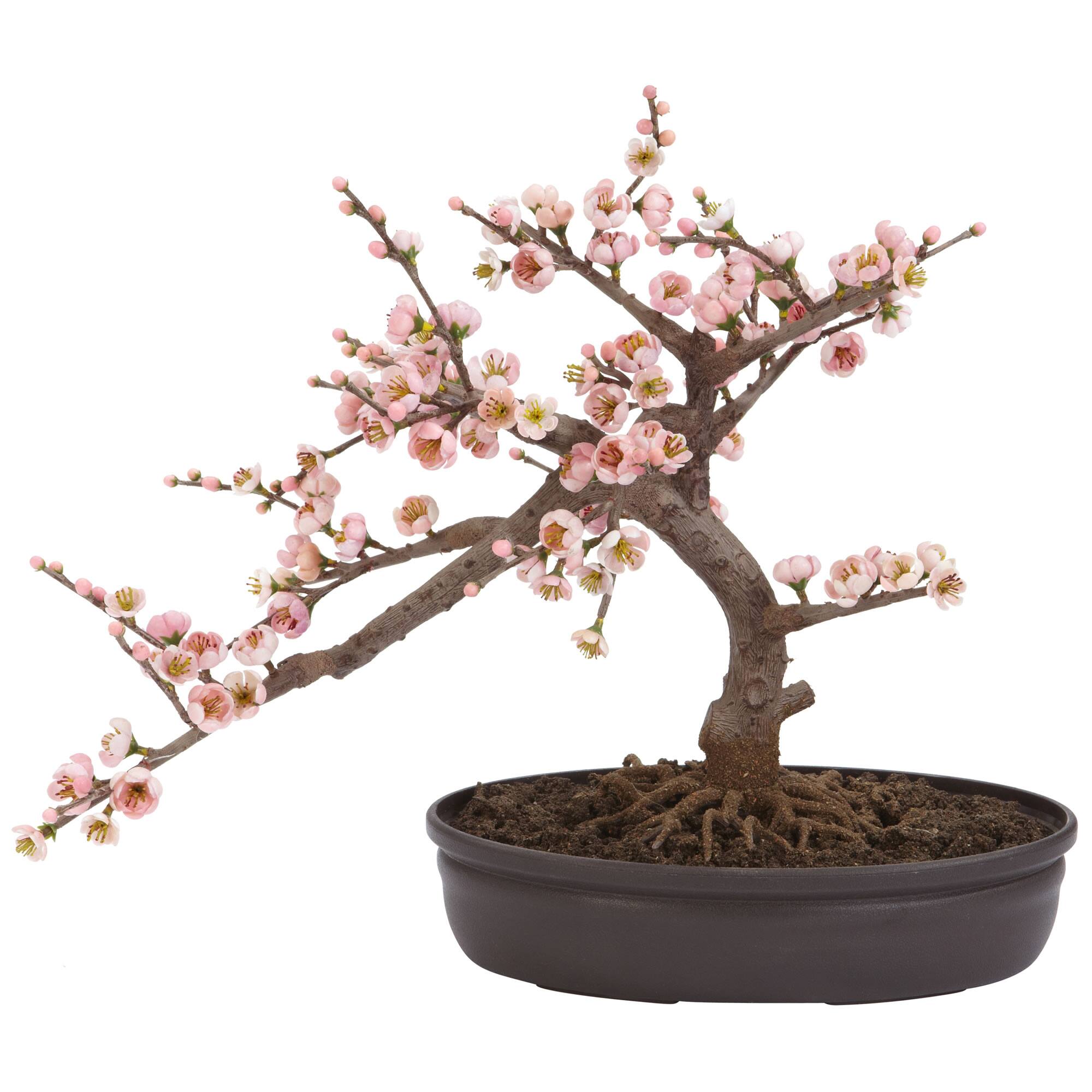 Front. BreeBe - 15" Cherry Blossom Bonsai Tree - Pink.