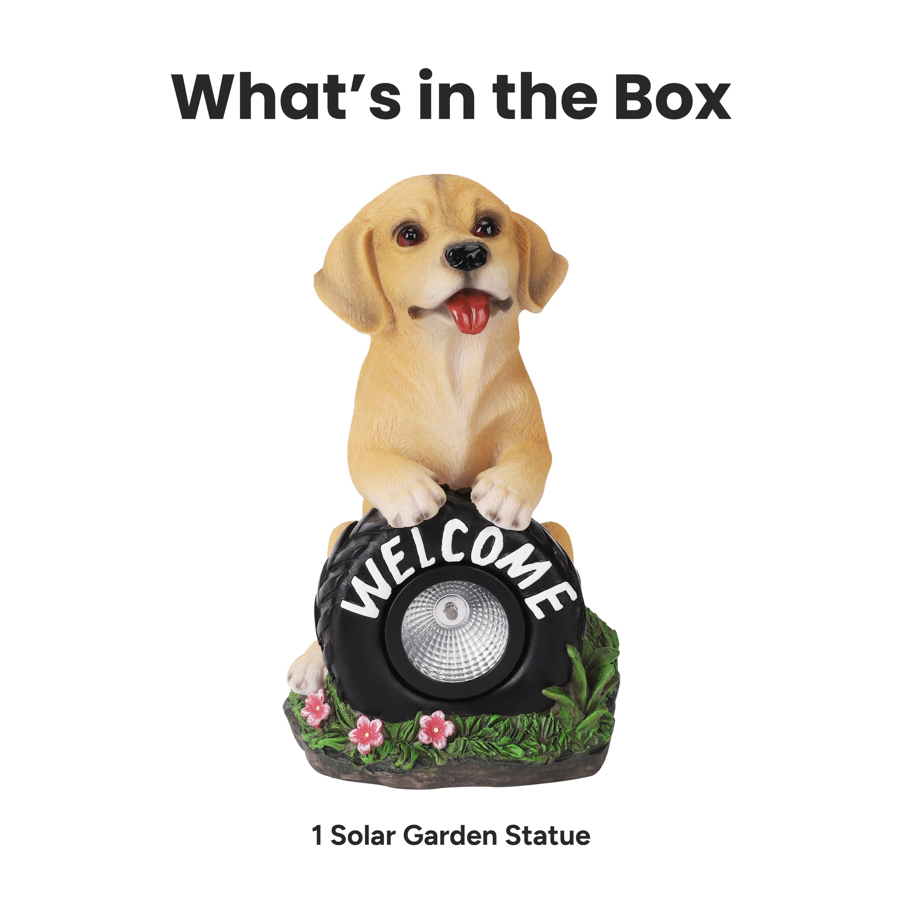 What's in the Box

1 Solar Garden Statue