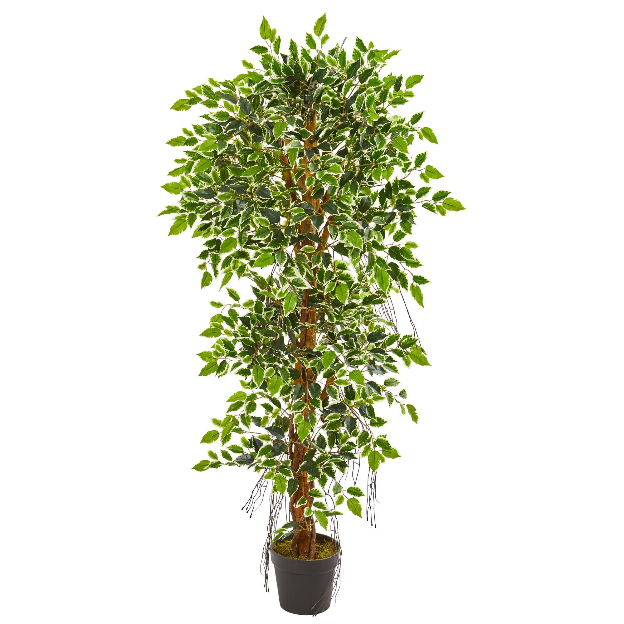 Front. BreeBe - 5' Elegant Ficus Artificial Tree - Green.
