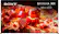 SONY BRAVIA XR Mini LED
