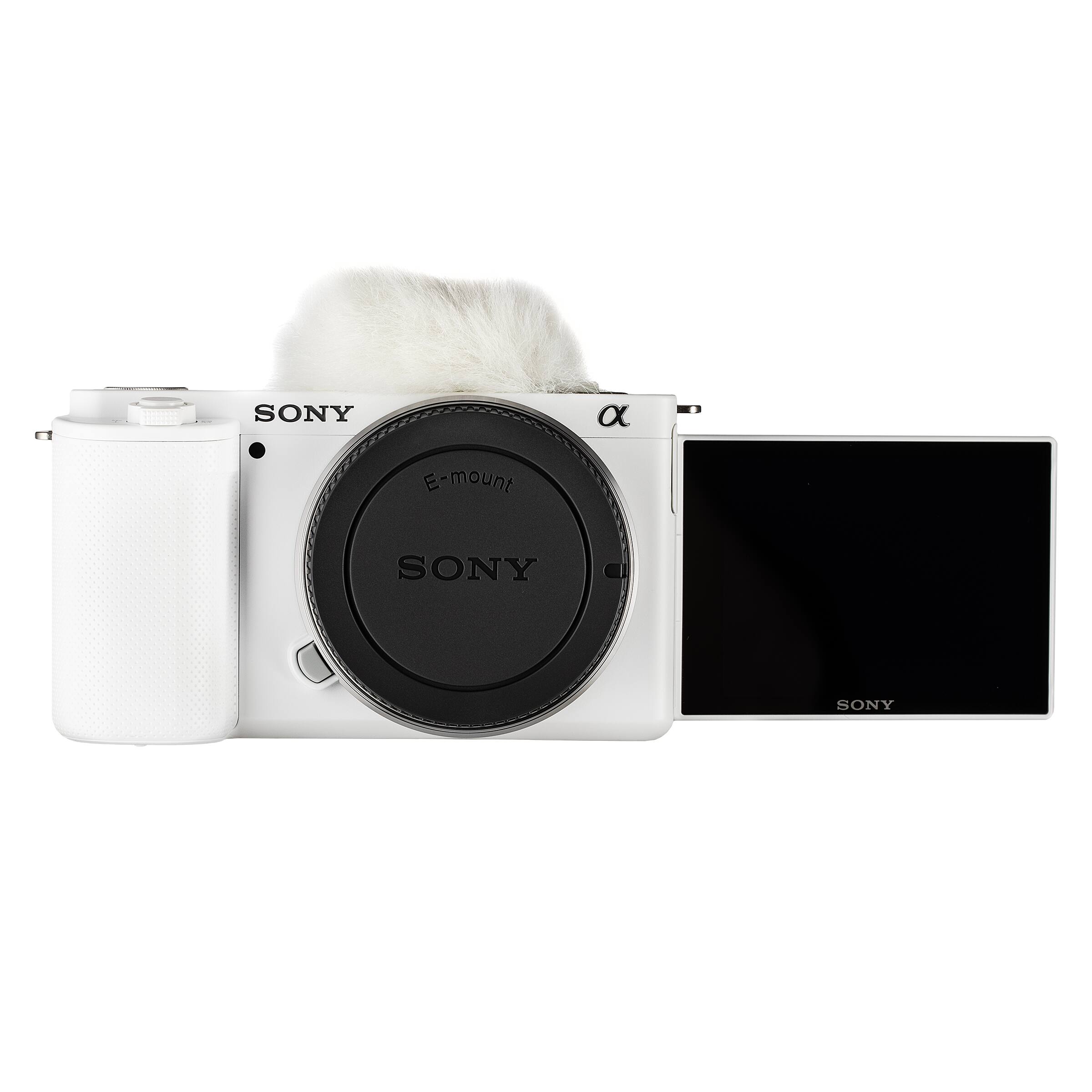 SONY α E-mount SONY