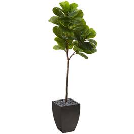 BreeBe - 5.5' Fiddle Leaf Tree in Black Planter (Real Touch) - Green