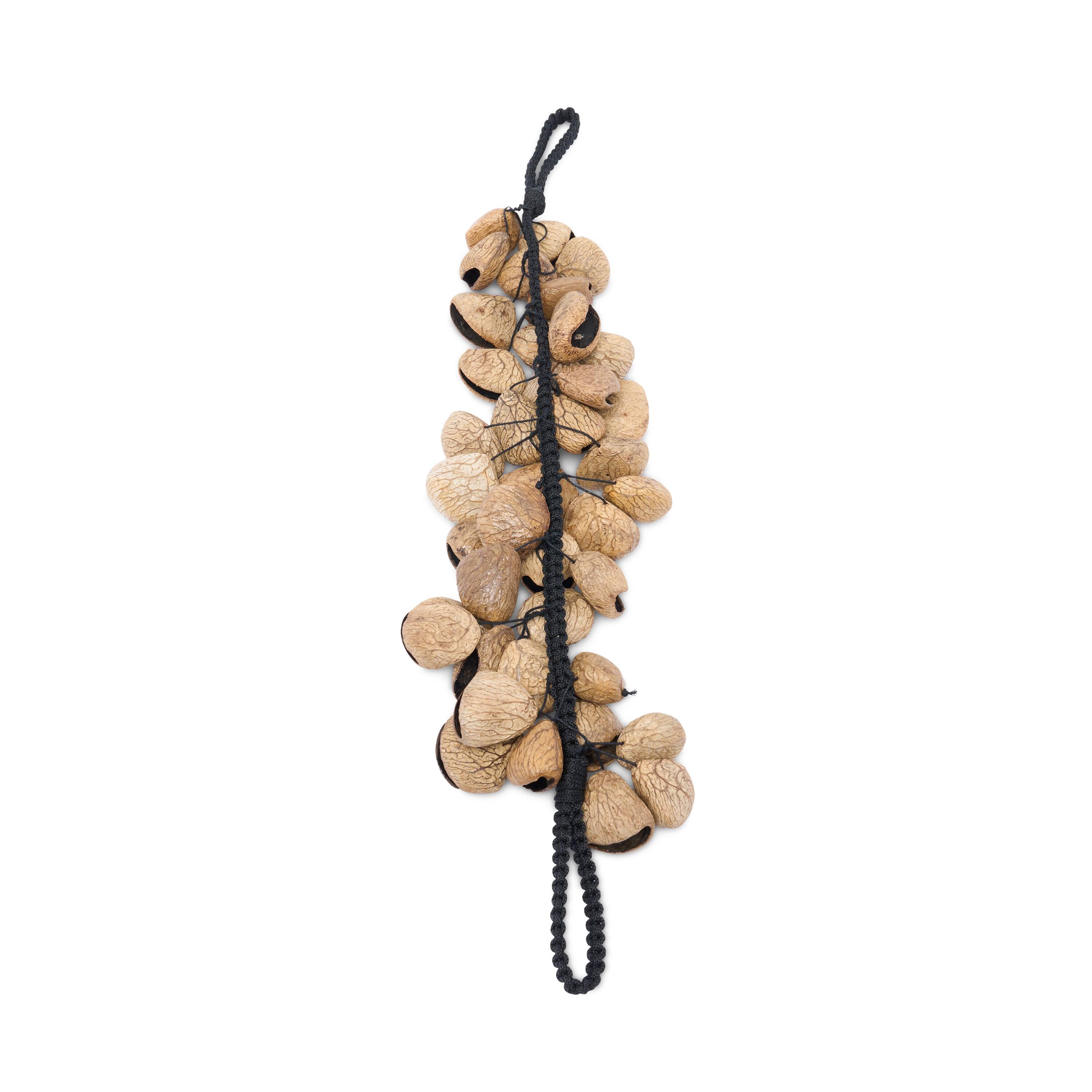 Angle. Latin Percussion - Pangi Nut Pod Waterfall Rattle.