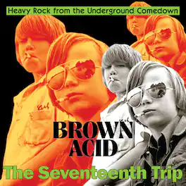 Various Artists - Brown Acid - The Seventeenth Trip (Various Artists) - VINYL LP