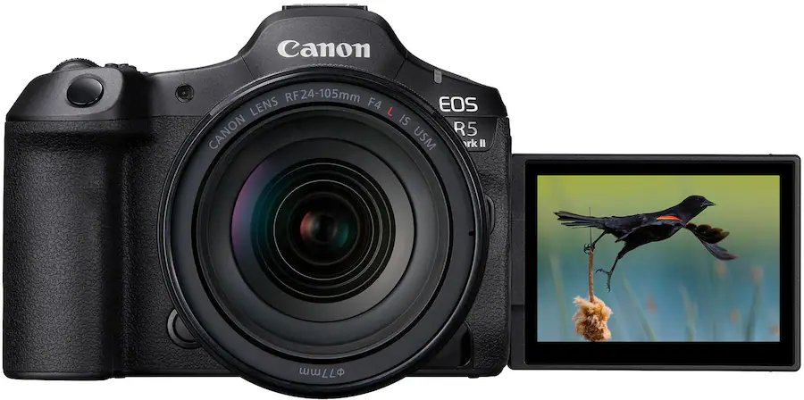 Eos R5c Canon R5 Price In Usa Camera Canon R5 Usa Price Canon EOS