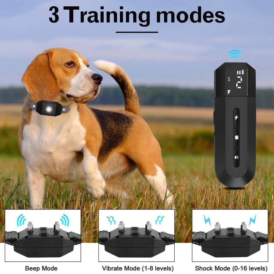 3 Training modes

- Beep Mode
- Vibrate Mode (1-8 levels)
- Shock Mode (0-16 levels)