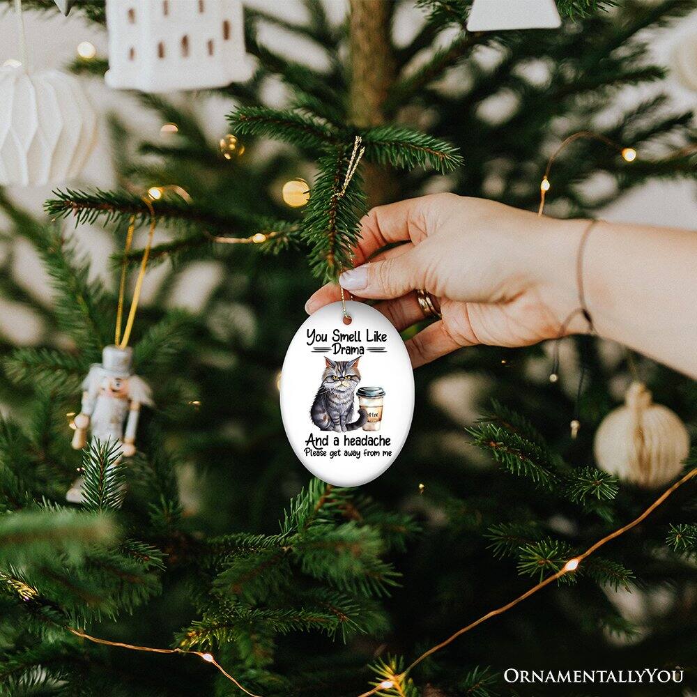 You Smell Like Drama F1m And a headache Please get away from me

ORNAMENTALLY YOU