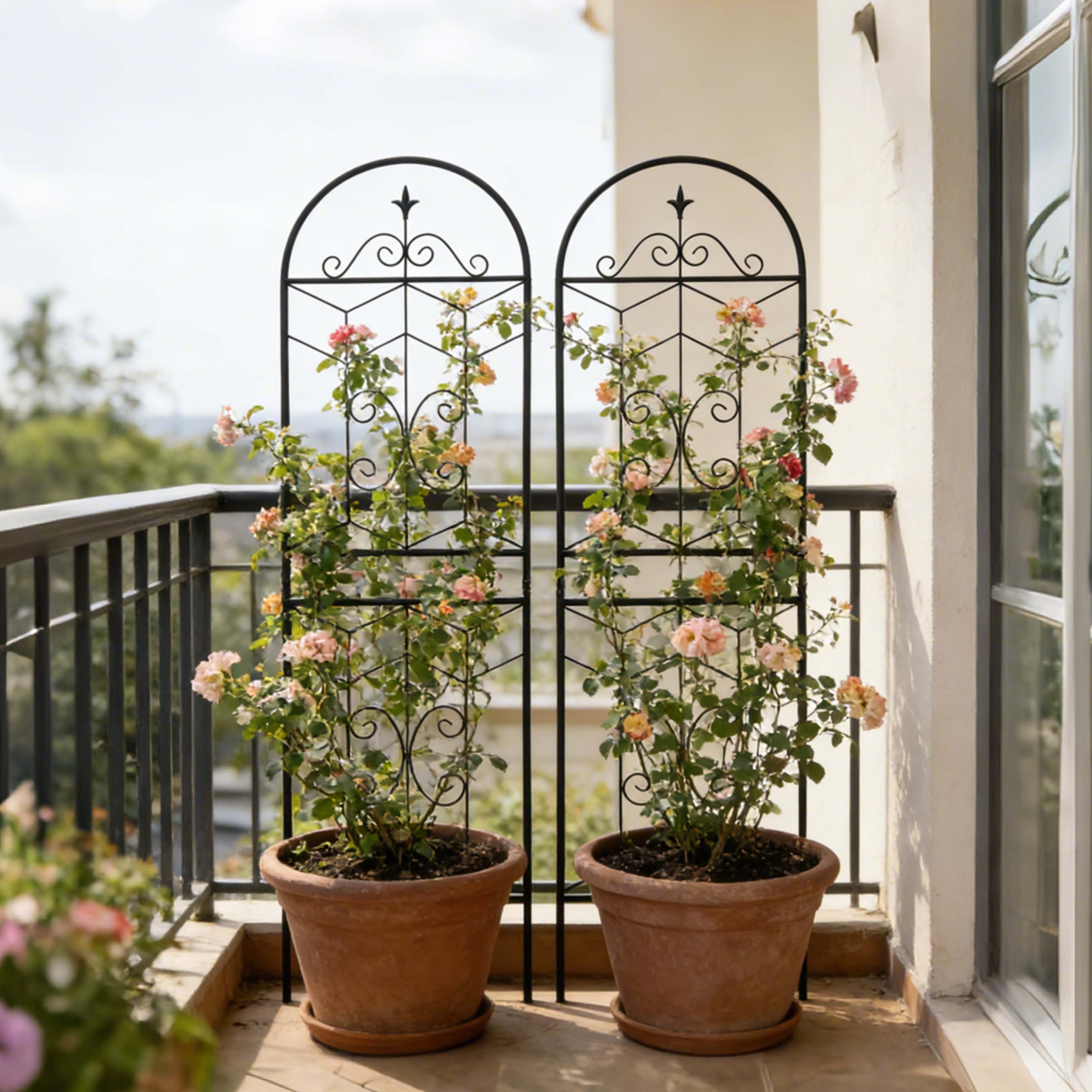 Back. Loheer - Rustproof Metal Garden Trellis 2 Pack, 5.9 ft x 1.6 ft Climbing Plant Support.