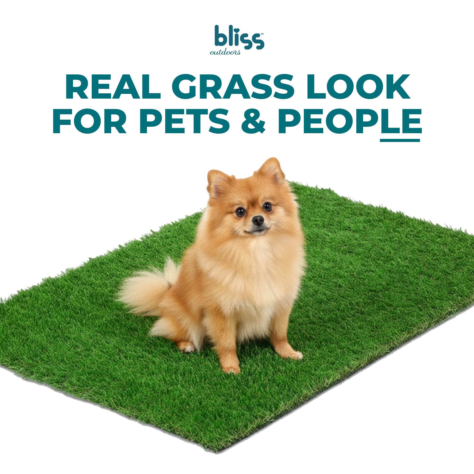 bliss outdoors  
REAL GRASS LOOK FOR PETS & PEOPLE