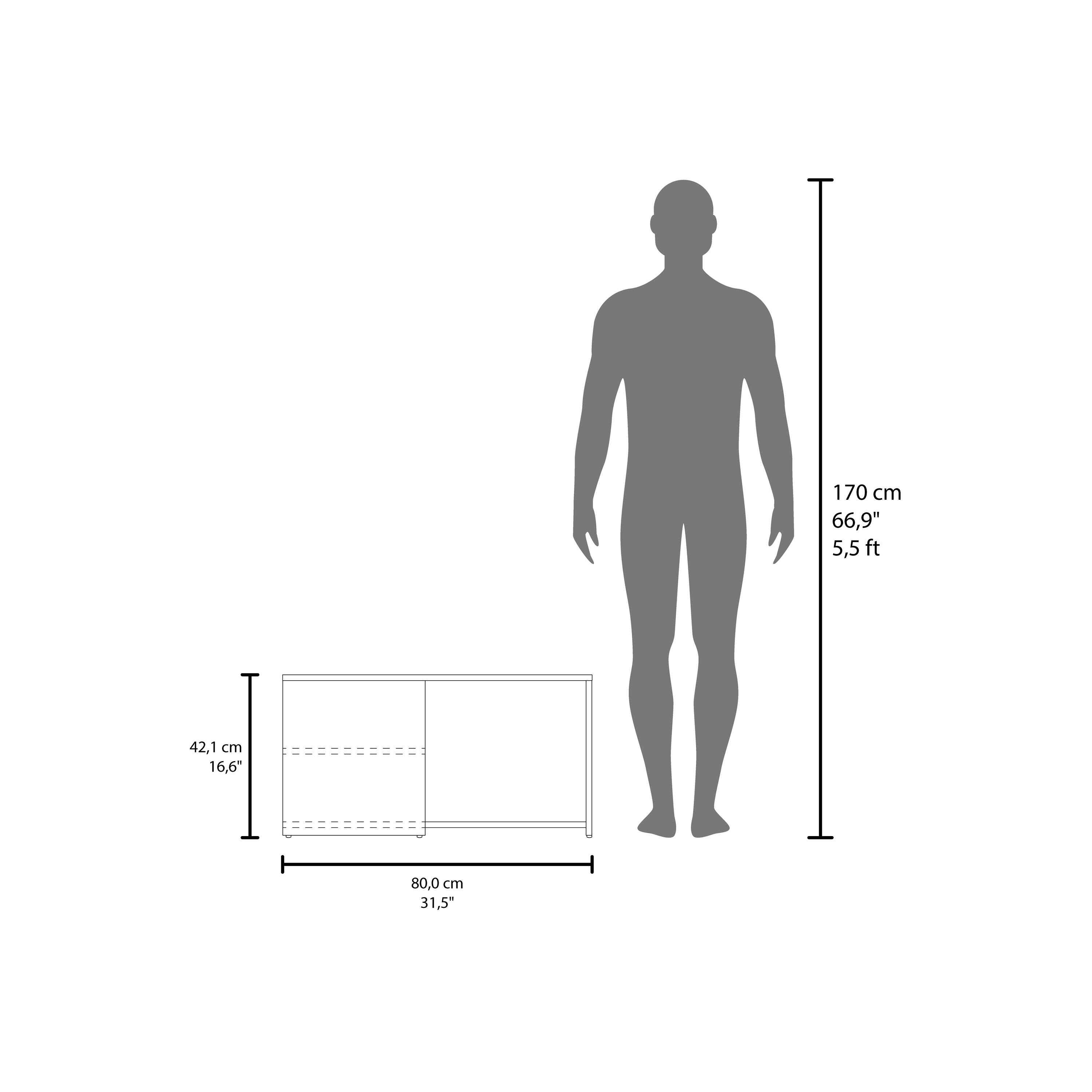 170 cm  
66,9"  
5,5 ft  

42,1 cm  
16,6"  

80,0 cm  
31,5"
