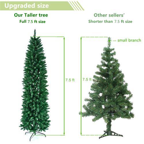 Upgraded size

Our Taller tree  
Full 7.5 ft size

Other sellers'  
Shorter than 7.5 ft size

7.5 ft

7.5 ft

small branch