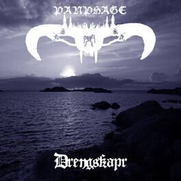 Panphage - Drengskapr - VINYL LP