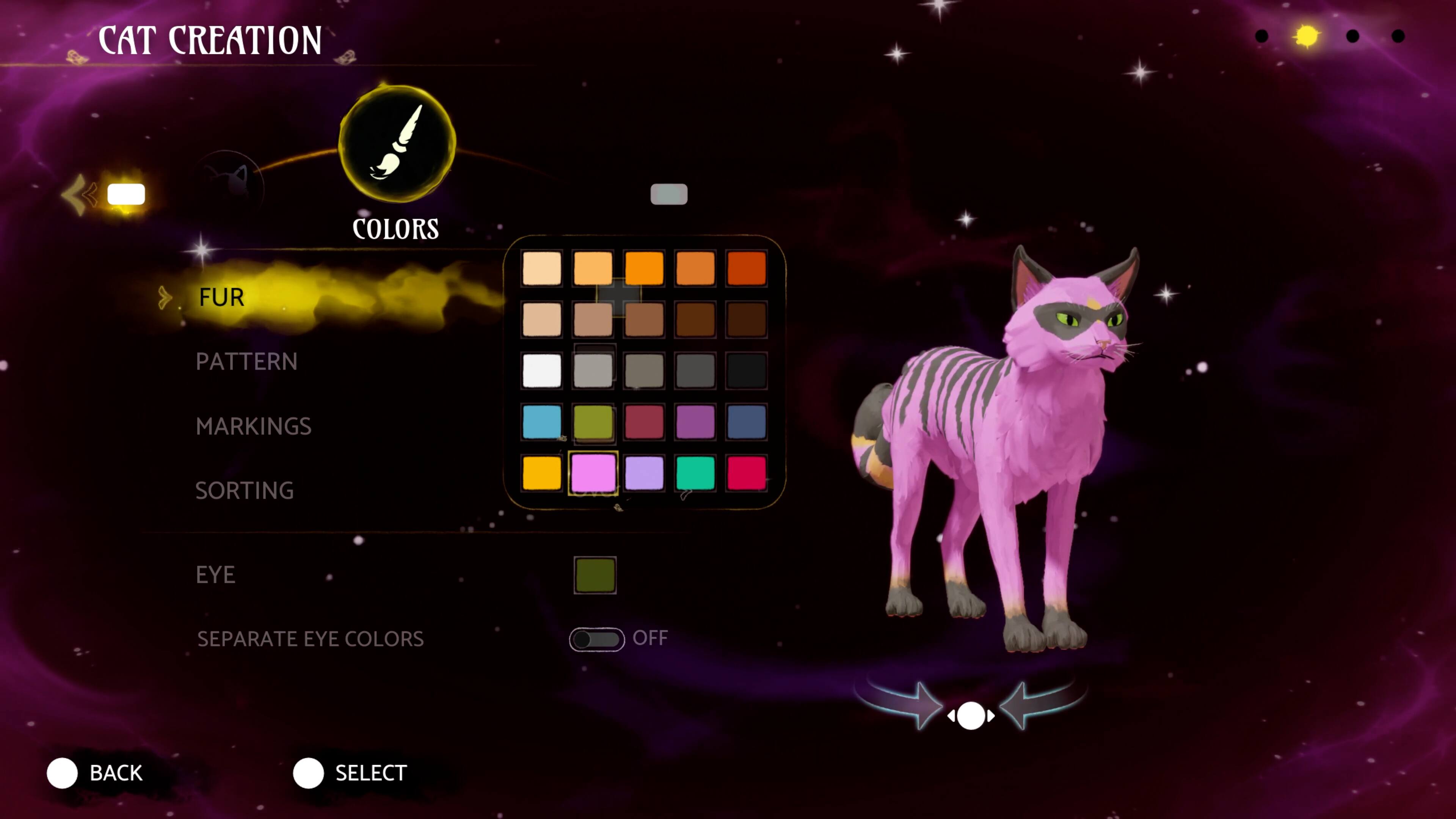 CAT CREATION COLORS FUR PATTERN MARKINGS SORTING EYE SEPARATE EYE COLORS OFF BACK SELECT